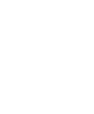 fox news