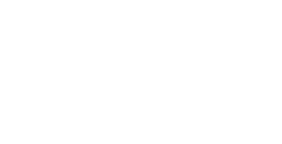 sc johnson